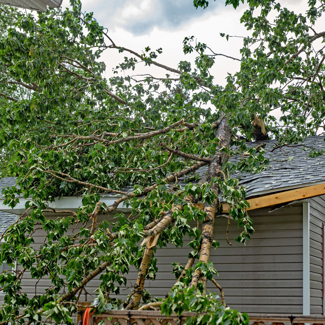 Storm damage repair work showing professional restoration
